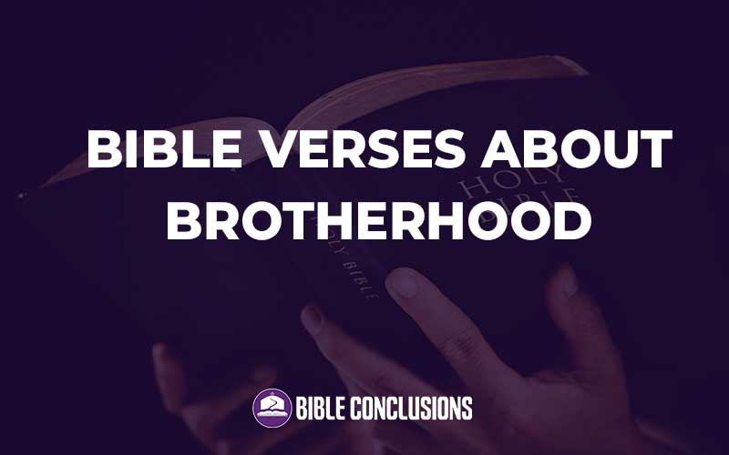 Bible Verses About Brotherhood