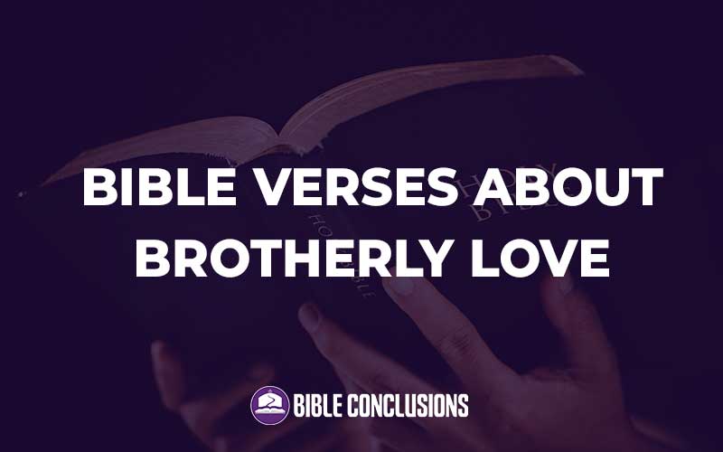 Bible Verses About Brotherly Love