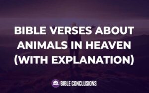 30 Powerful Bible Verses About Heaven (With Commentary ...