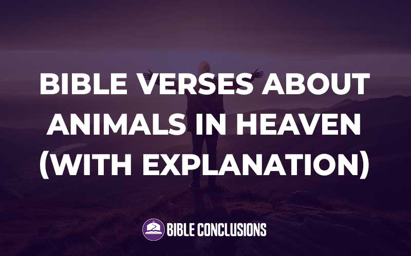 Bible Verses About Animals In Heaven