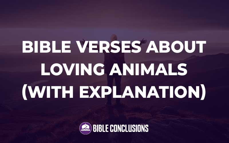 Bible Verses About Loving Animals