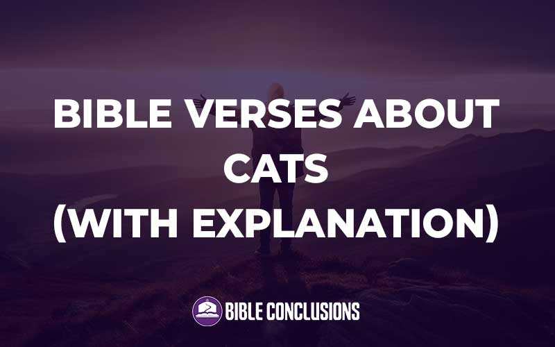 Bible Verses About Cats