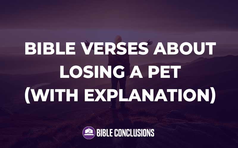 Bible Verses About Losing A Pet