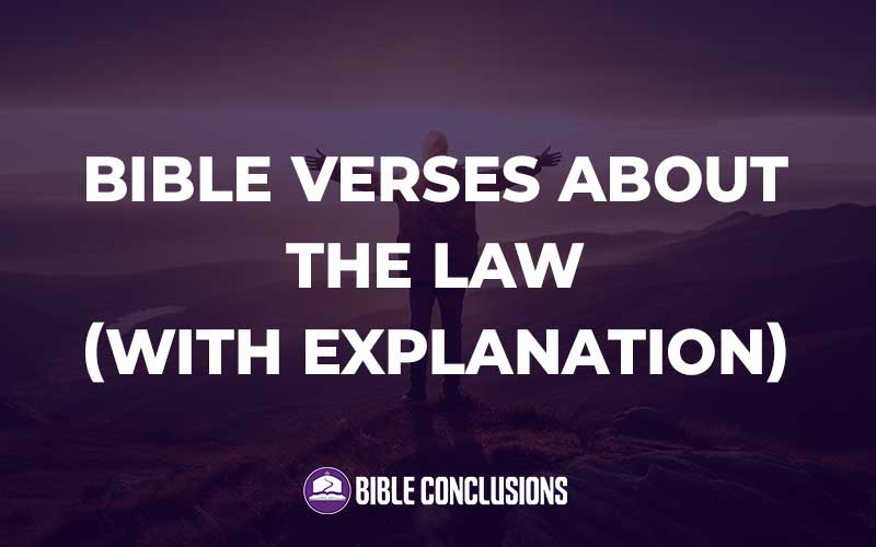 Bible Verses About The Law