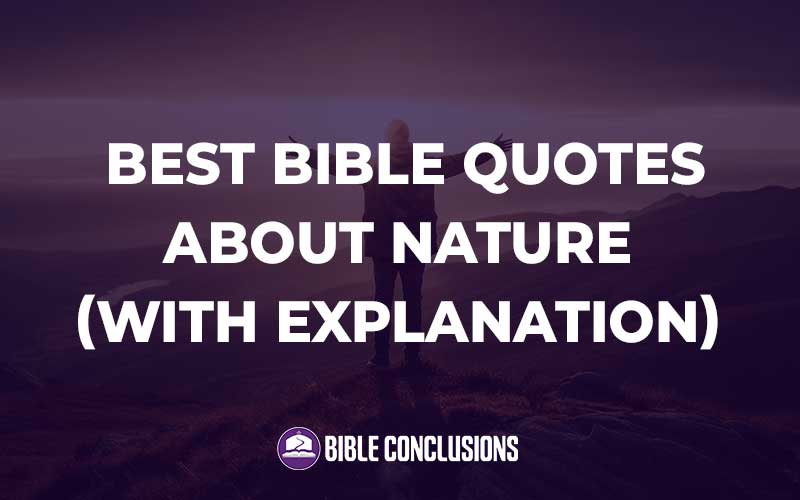 Best Bible Quotes About Nature