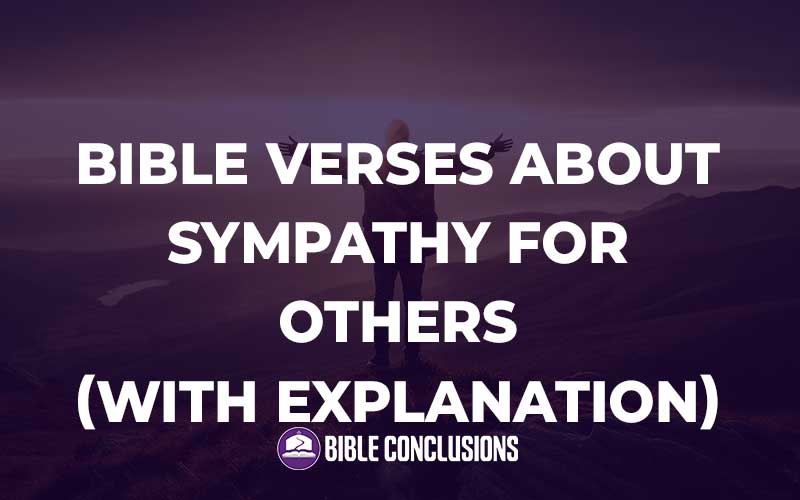 Bible Verses About Sympathy For Others